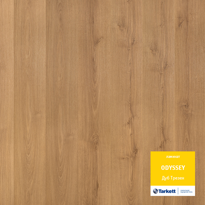 Дуб Трезен Ламинат Tarkett ODYSSEY +79132066000