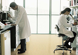 GRANIT SD IQ Tarkett от ООО "А Стиль" Новосибирск