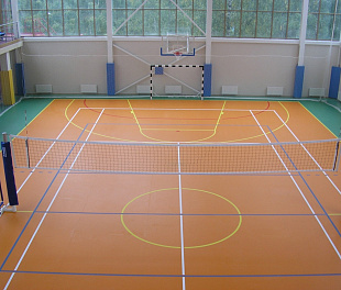 Спортивный линолеум 8,5 мм Apoluza SPORTFLOOR